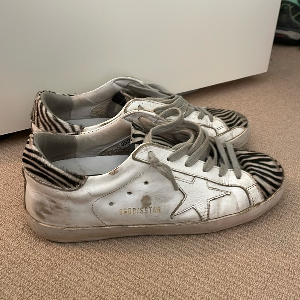 Zebra Golden Goose Superstar